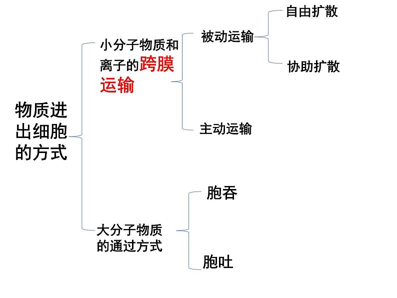 人教版高一生物必修1课件：5.1降低化学反应的活化能——酶01