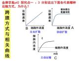 人教版高一生物必修1课件：5.1降低化学反应的活化能——酶