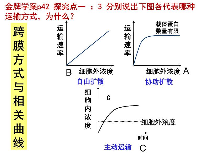 人教版高一生物必修1课件：5.1降低化学反应的活化能——酶03