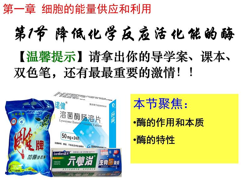 人教版高一生物必修1课件：5.1降低化学反应的活化能——酶06