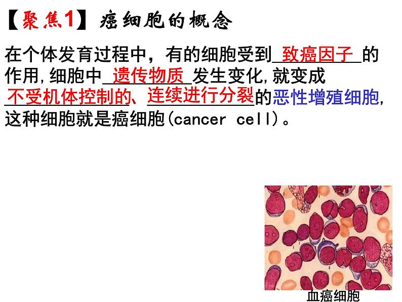 人教版高一生物必修1课件：6.4 细胞的癌变 （共25张PPT）05