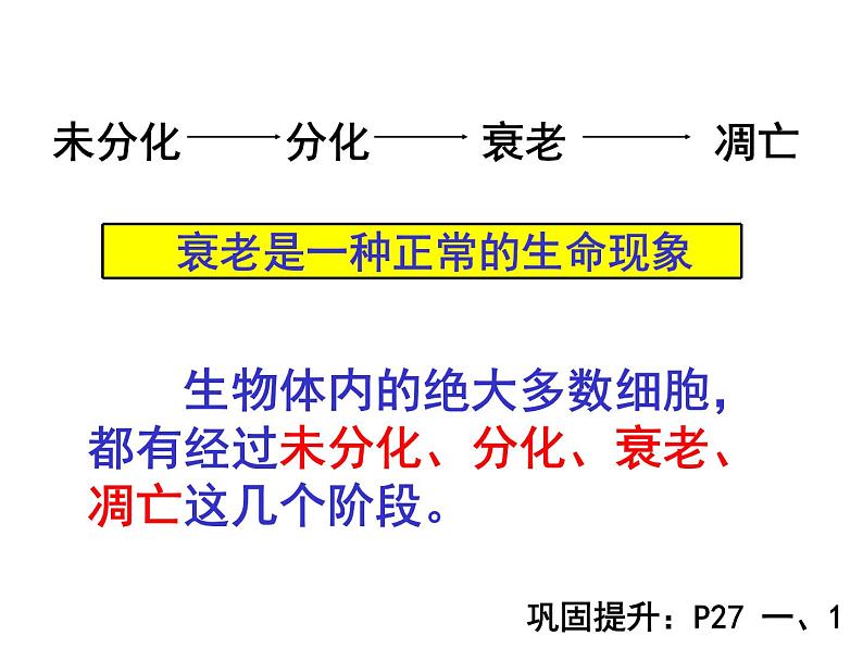 人教版高一生物必修1课件：6.3 细胞的衰老和凋亡 （共25张PPT）05