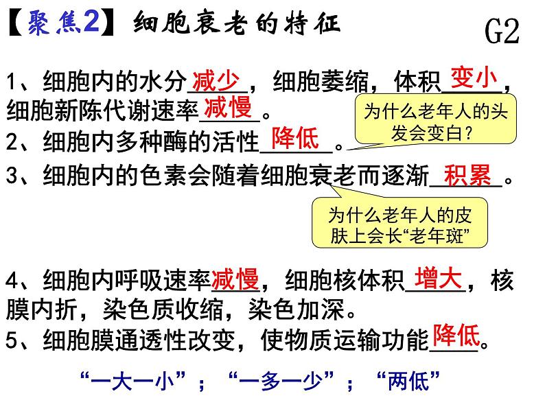 人教版高一生物必修1课件：6.3 细胞的衰老和凋亡 （共25张PPT）08