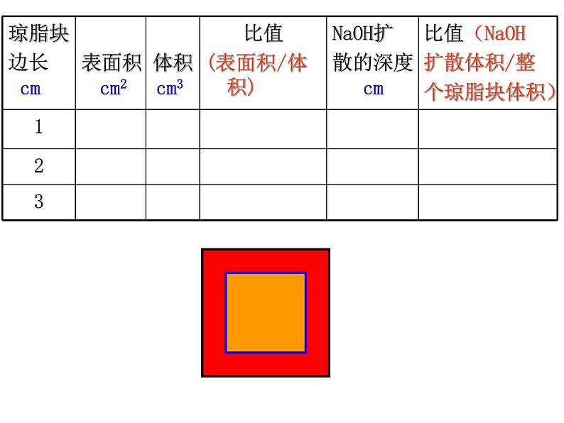 人教版高一生物必修1课件：6.1.1 细胞的曾殖06