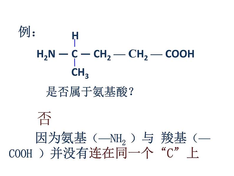 人教版高一生物必修1课件：2.2 生命活动的主要承担着-蛋白质 （共27张PPT）04