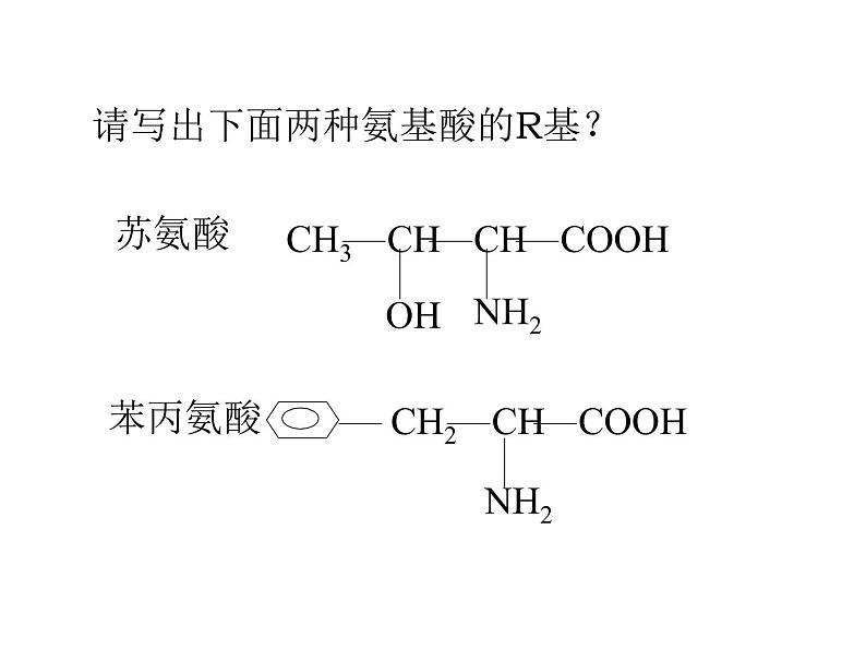 人教版高一生物必修1课件：2.2 生命活动的主要承担着-蛋白质 （共27张PPT）08