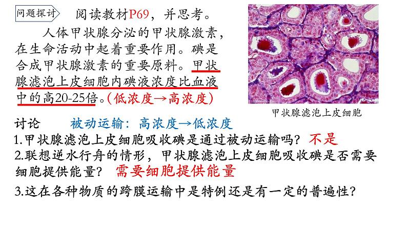 4.2 主动运输与胞吞胞吐 课件02
