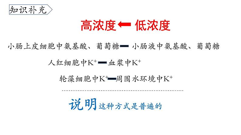 4.2 主动运输与胞吞胞吐 课件03