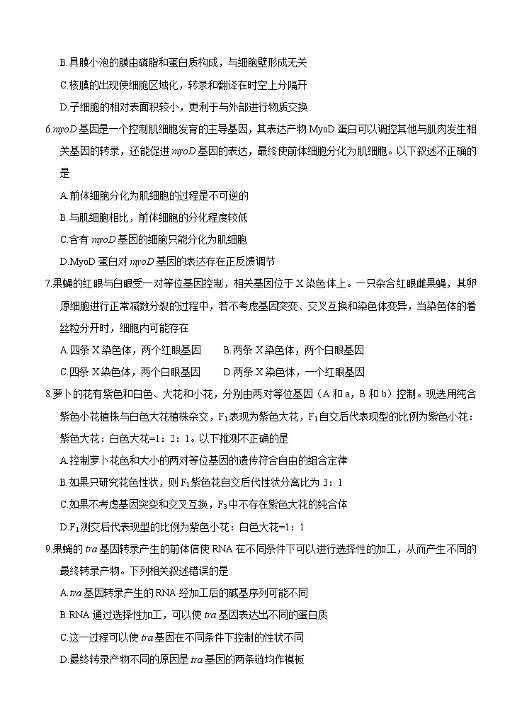 北京市朝阳区2021届高三上学期期中考试 生物(含答案)02