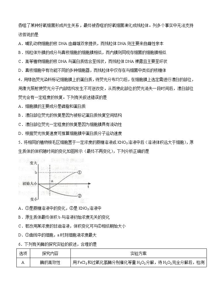 山东省邹城市2021届高三上学期期中质量检测 生物(含答案)02