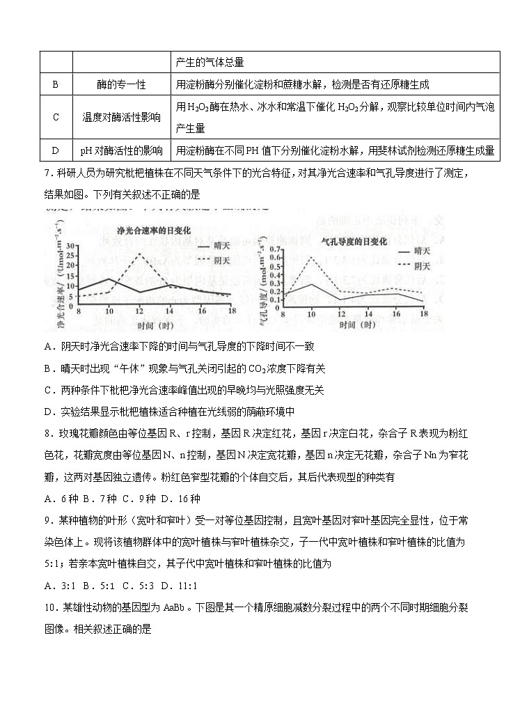 山东省邹城市2021届高三上学期期中质量检测 生物(含答案)03