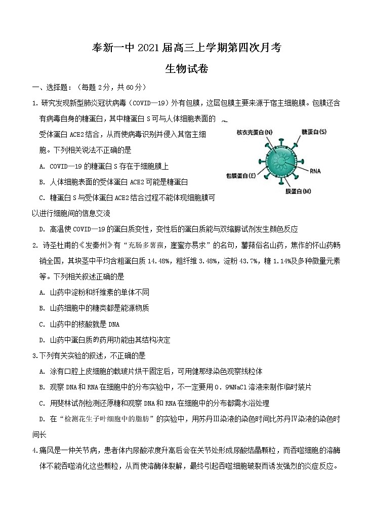 江西省奉新县第一中学2021届高三上学期第四次月考 生物(含答案) 试卷01