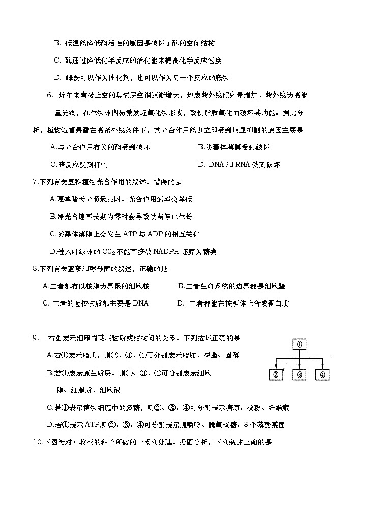 河南省周口市中英文学校2021届高三上学期期中考试 生物(含答案)02