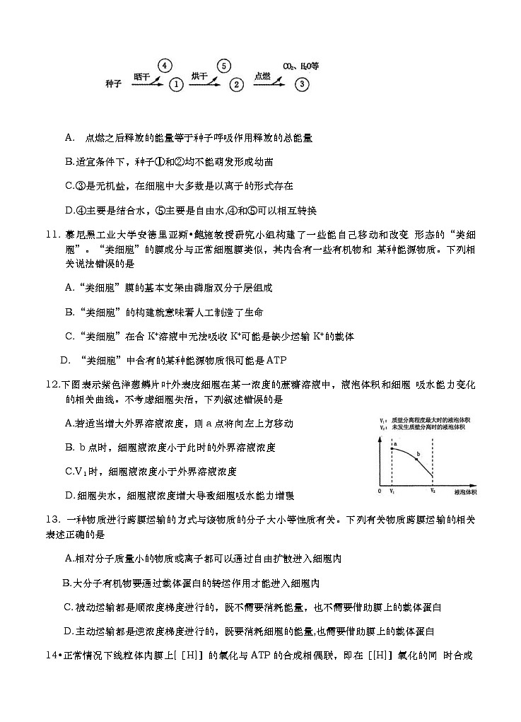 河南省周口市中英文学校2021届高三上学期期中考试 生物(含答案)03
