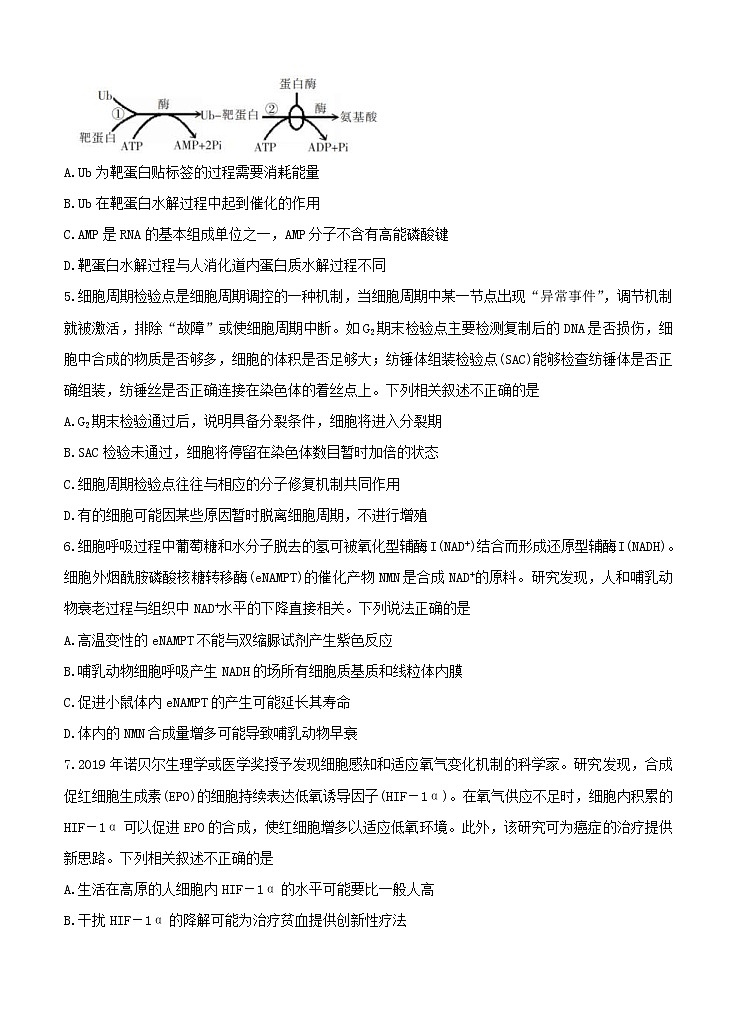 湖南省郴州市2021届上学期第一次质检 生物(含答案)02