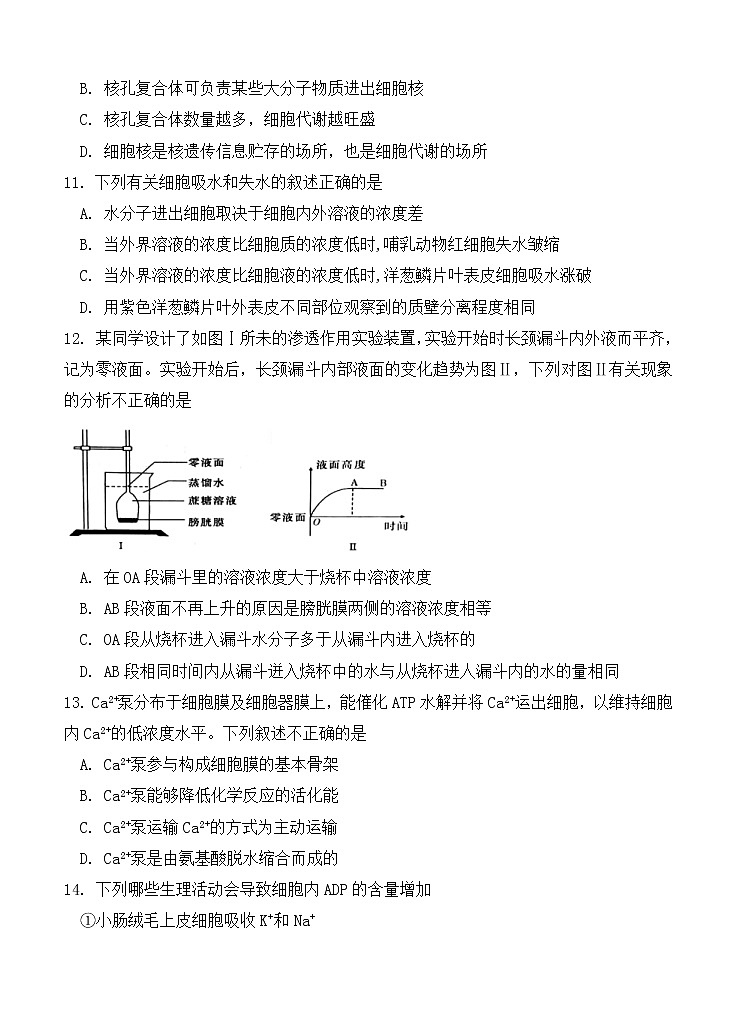 福建省三明市第一中学2021届高三上学期期中考试 生物（含答案）03