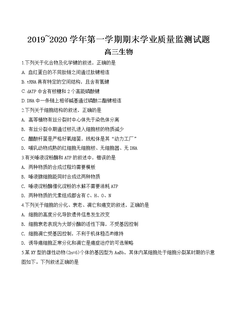 2019-2020江苏省海安市高三生物上学期期末试卷（下载版）01