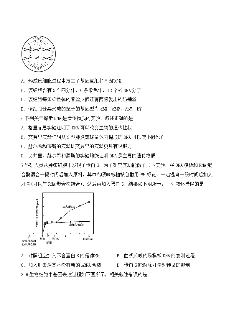 2019-2020江苏省海安市高三生物上学期期末试卷（下载版）02