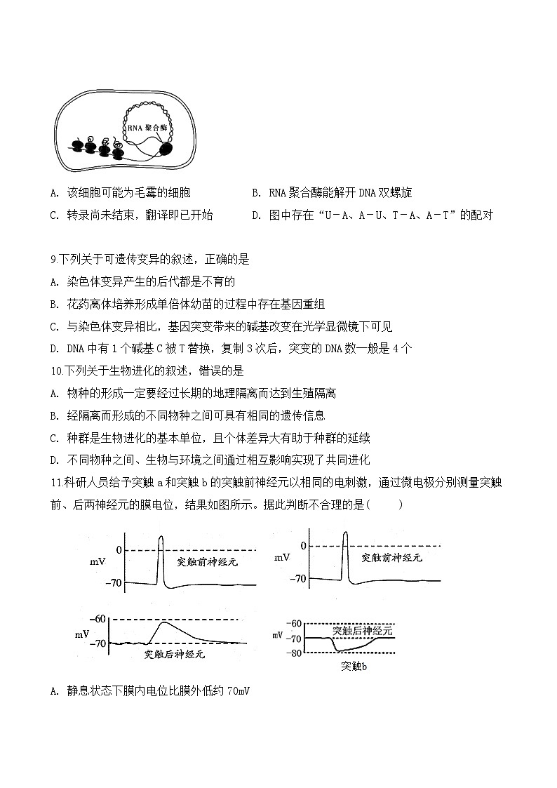 2019-2020江苏省海安市高三生物上学期期末试卷（下载版）03