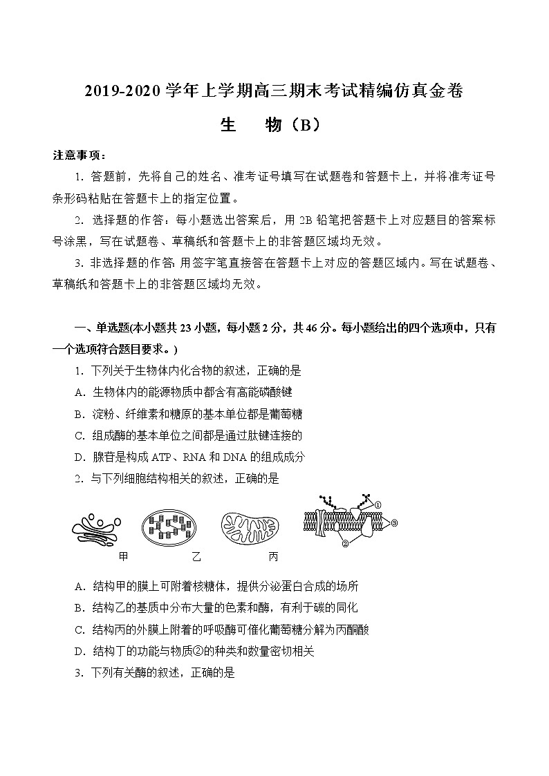 2019-2020湖北名师联盟高三生物上学期期末试卷B（下载版）01
