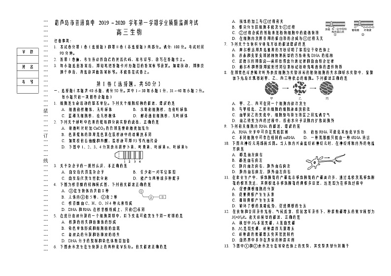 2019-2020辽宁葫芦岛市高三生物上学期期末试卷（下载版）01