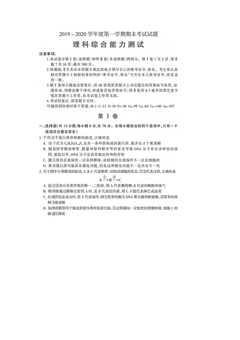 2019-2020山西省阳泉十一中高三生物上学期期末试卷（下载版）01