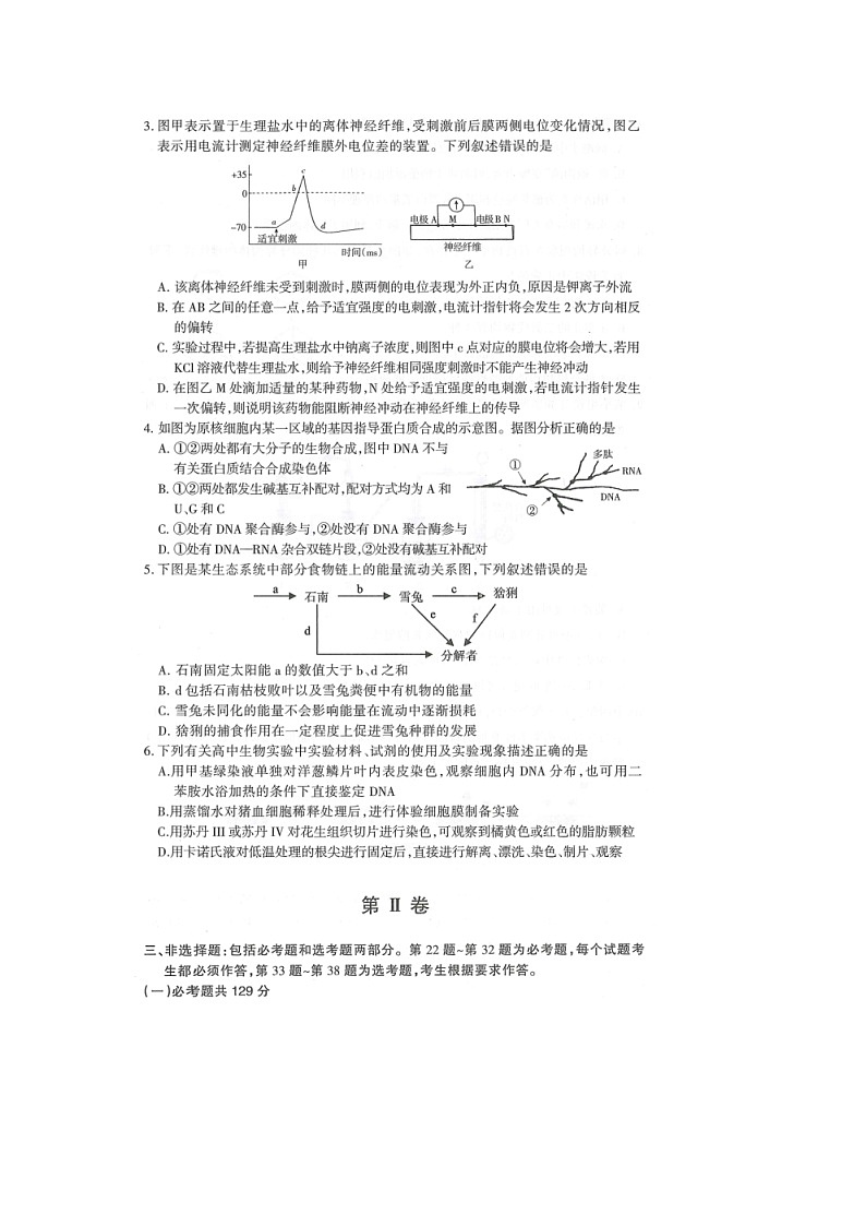 2019-2020山西省阳泉十一中高三生物上学期期末试卷（下载版）02