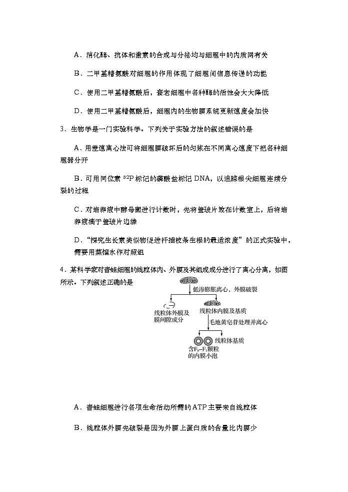 2019-2020山东胶州市高三生物上学期期末试卷（下载版）02