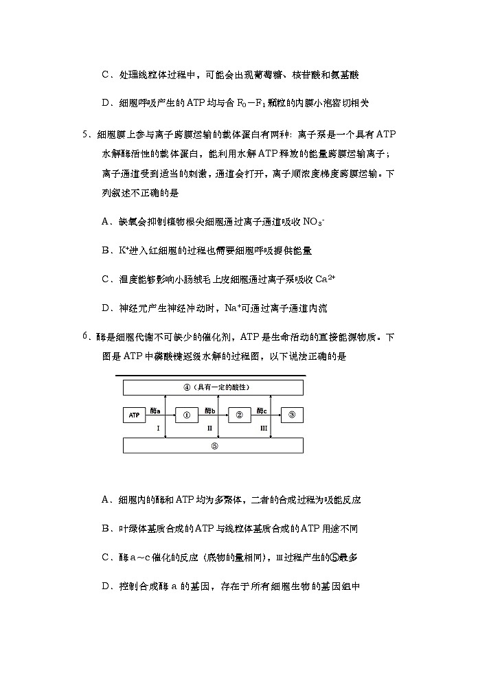 2019-2020山东胶州市高三生物上学期期末试卷（下载版）03