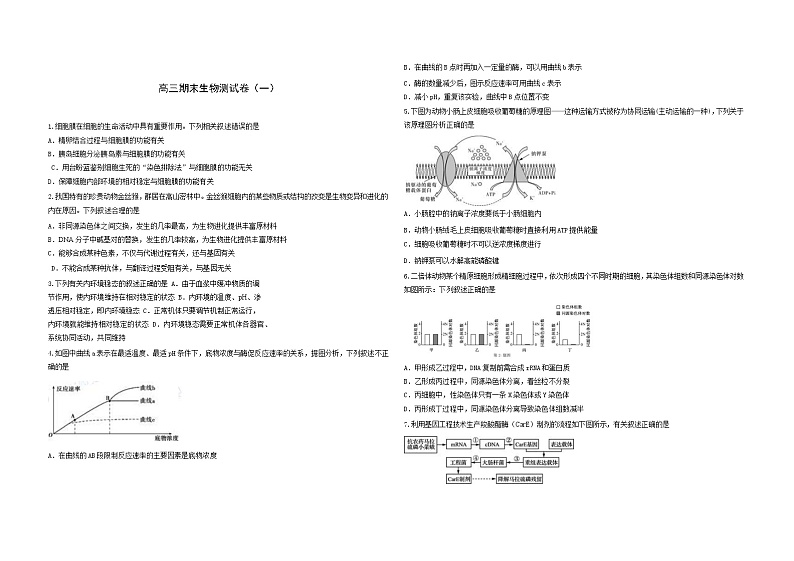 2019-2020天津市高三生物上学期期末试卷（下载版）01