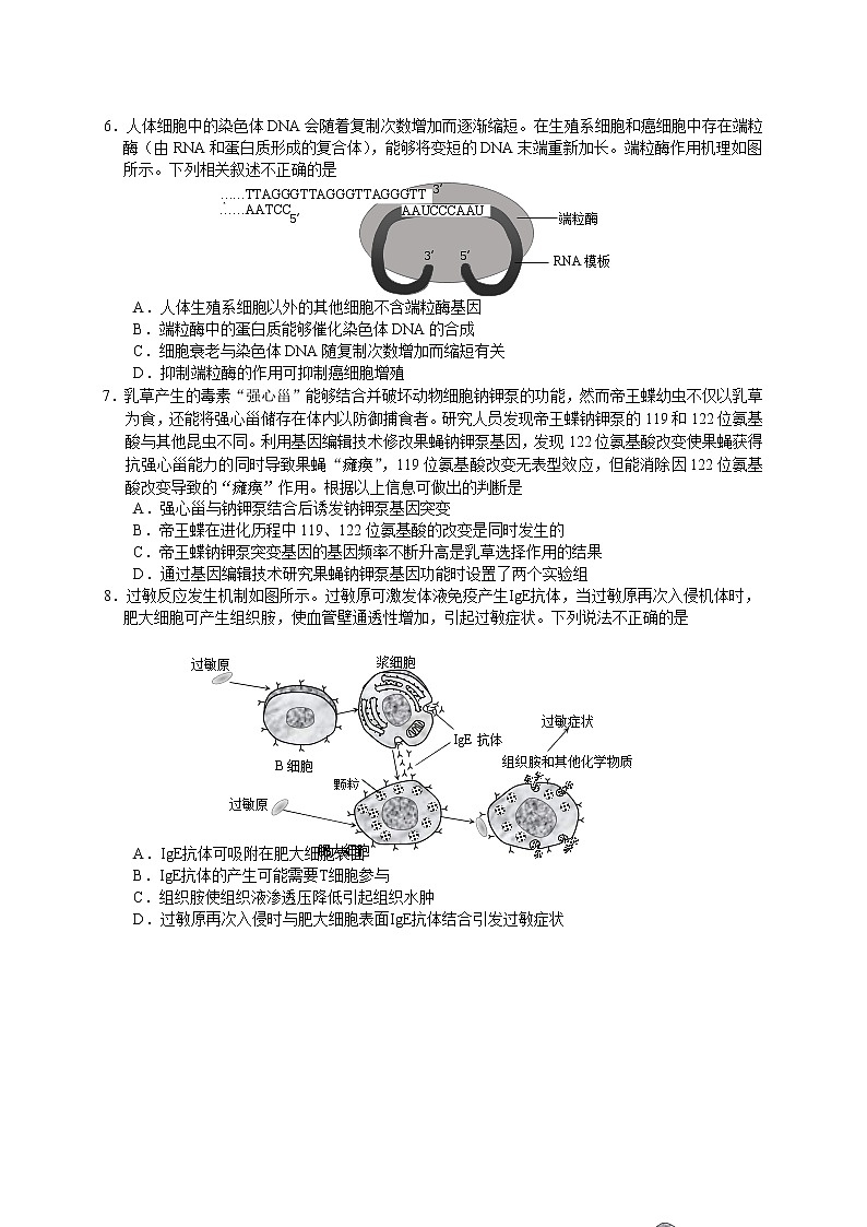 2019-2020北京市西城区高三生物上学期期末试卷（下载版）02