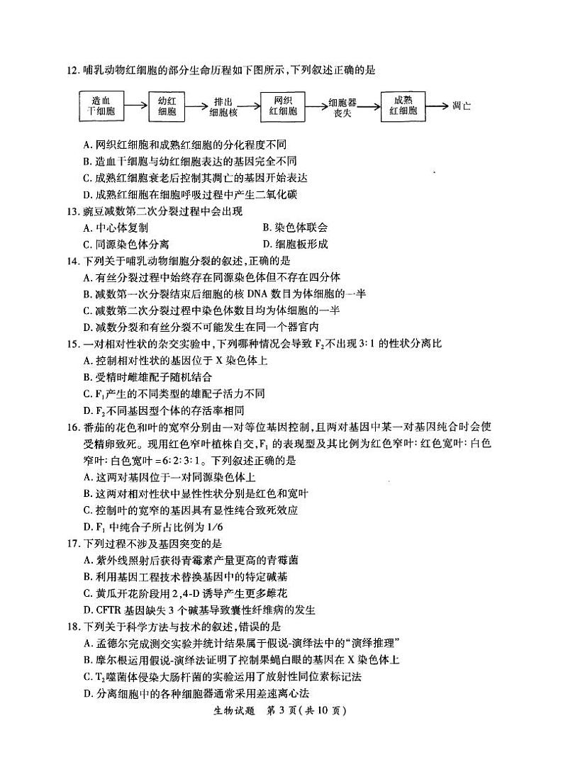 2019-2020福建省厦门市高三生物上学期期末试卷（下载版）03