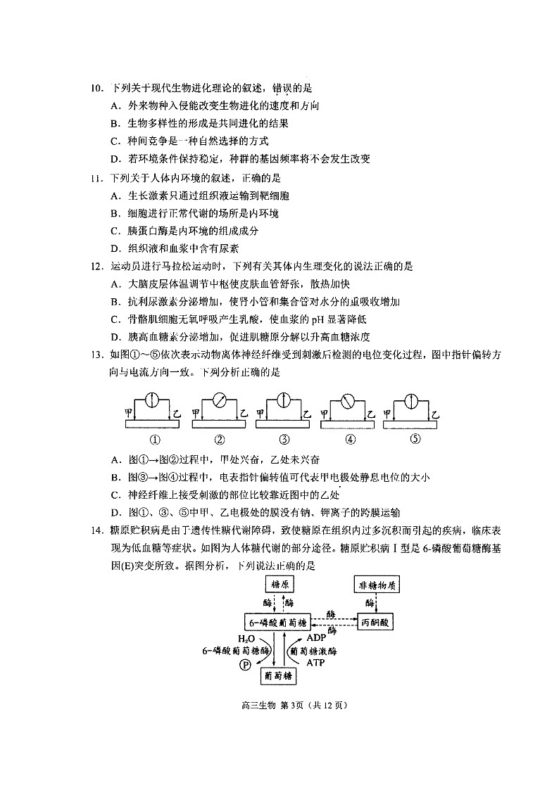 2019-2020江苏省扬州市高三生物上学期期末试卷（下载版）03