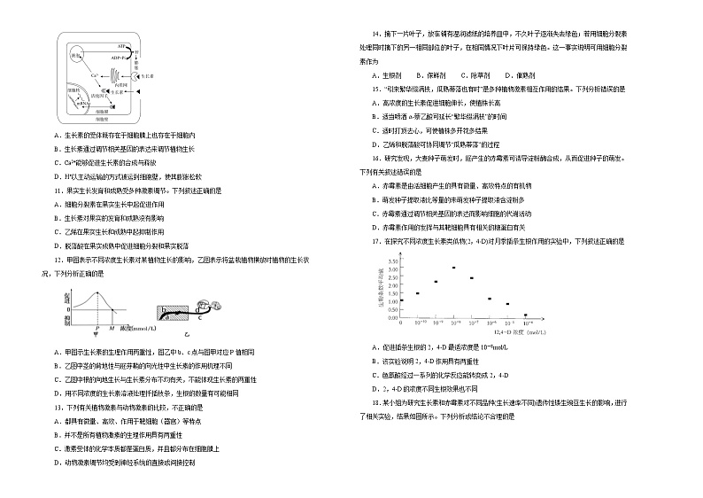 2021届高考一轮复习第九单元植物的激素调节训练卷 B卷02