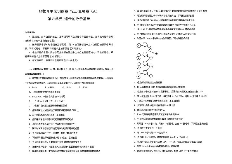 2021届高考一轮复习第六单元遗传的分子基础训练卷 A卷第1页