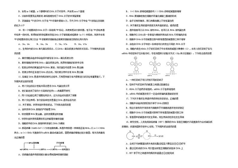 2021届高考一轮复习第六单元遗传的分子基础训练卷 A卷第2页