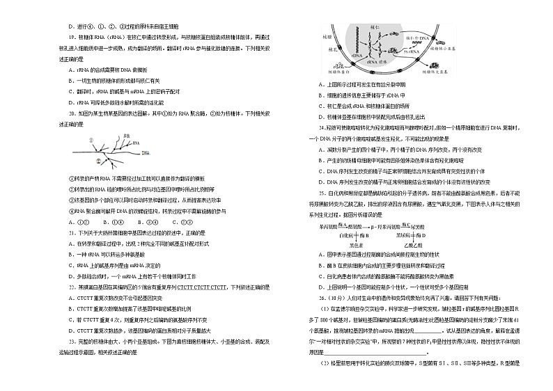 2021届高考一轮复习第六单元遗传的分子基础训练卷 A卷第3页