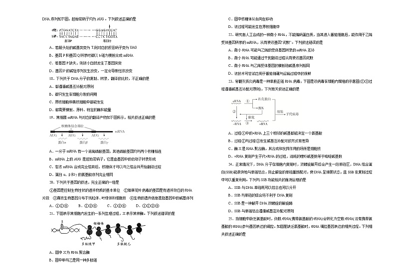 2021届高考一轮复习第六单元遗传的分子基础训练卷 B卷03