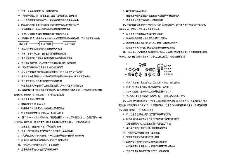 2021届高考一轮复习第七单元生物的变异、育种和进化训练卷 B卷02