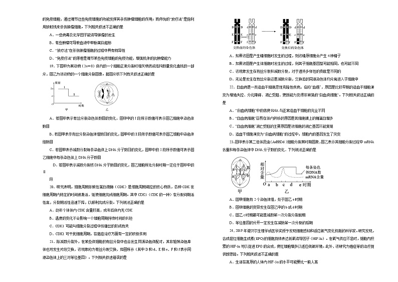 2021届高考一轮复习第四单元细胞的生命历程（含减数分裂）训练卷 A卷03