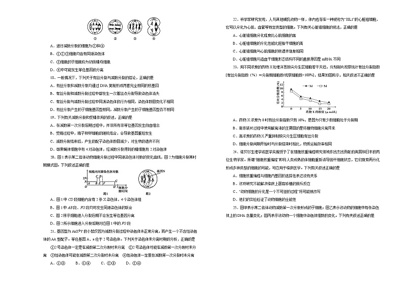 2021届高考一轮复习第四单元细胞的生命历程（含减数分裂）训练卷 B卷03