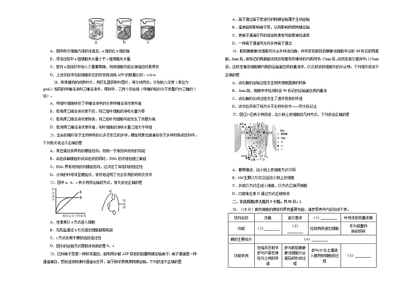 2021届高三一轮复习第二单元细胞的基本结构 细胞的物质输入和输出训练卷 B卷第3页