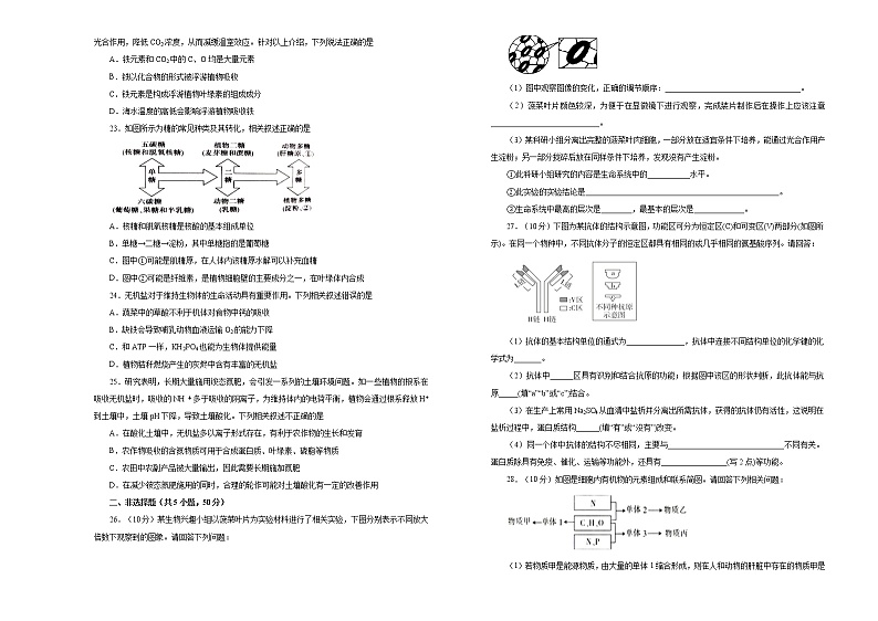 2021届高三一轮复习第一单元走近细胞 组成细胞的分子训练卷 B卷第3页