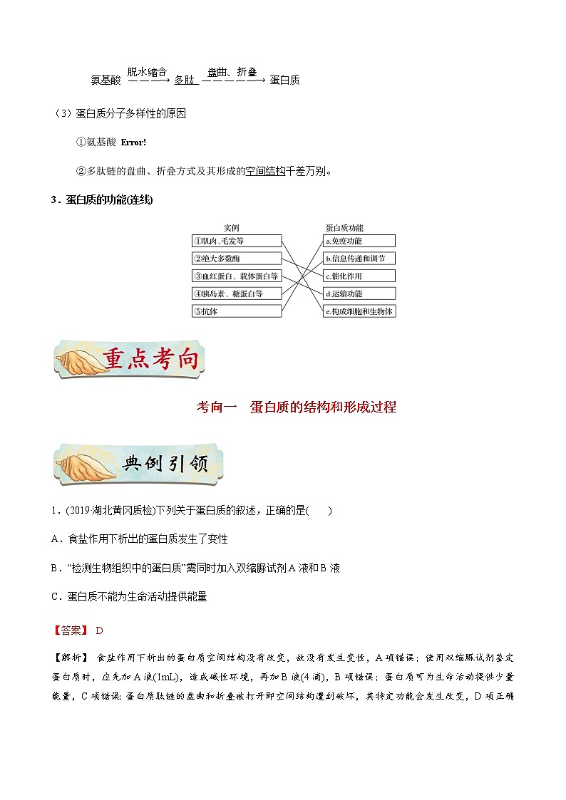 考点04 细胞中的蛋白质-备战2021年高考生物一轮复习考点一遍过第2页