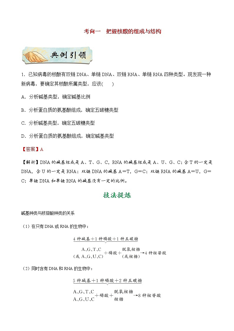 考点05 细胞中的核酸-备战2021年高考生物一轮复习考点一遍过第2页