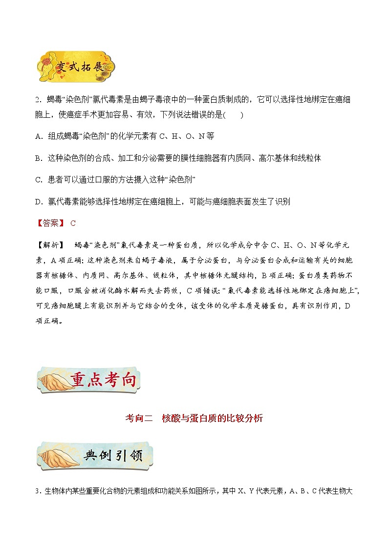 考点05 细胞中的核酸-备战2021年高考生物一轮复习考点一遍过第3页