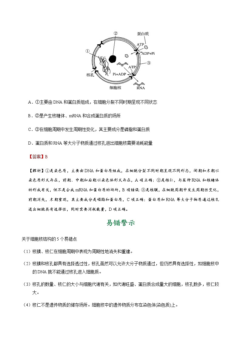 考点09  细胞核的结构与功能—系统的边界-备战2021年高考生物一轮复习考点一遍过第2页