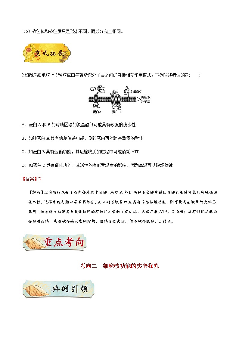 考点09  细胞核的结构与功能—系统的边界-备战2021年高考生物一轮复习考点一遍过第3页