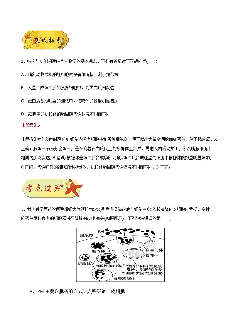 考点11  用高倍显微镜观察叶绿体和线粒体-备战2021年高考生物一轮复习考点一遍过第3页