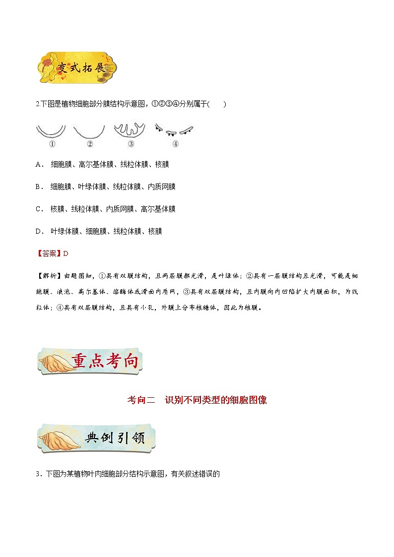 考点10 细胞器的结构和功能-备战2021年高考生物一轮复习考点一遍过 学案03